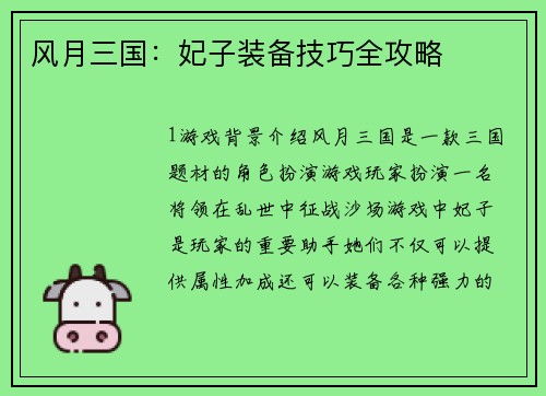 风月三国：妃子装备技巧全攻略